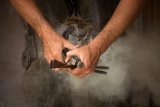 Comment Bien Prendre Soin des Sabots de Son Cheval ?