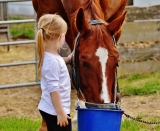 Comment transmettre sa passion du cheval à ses enfants ?