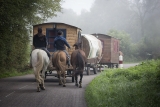 Passez vos Vacances en Roulotte en Compagnie des Chevaux
